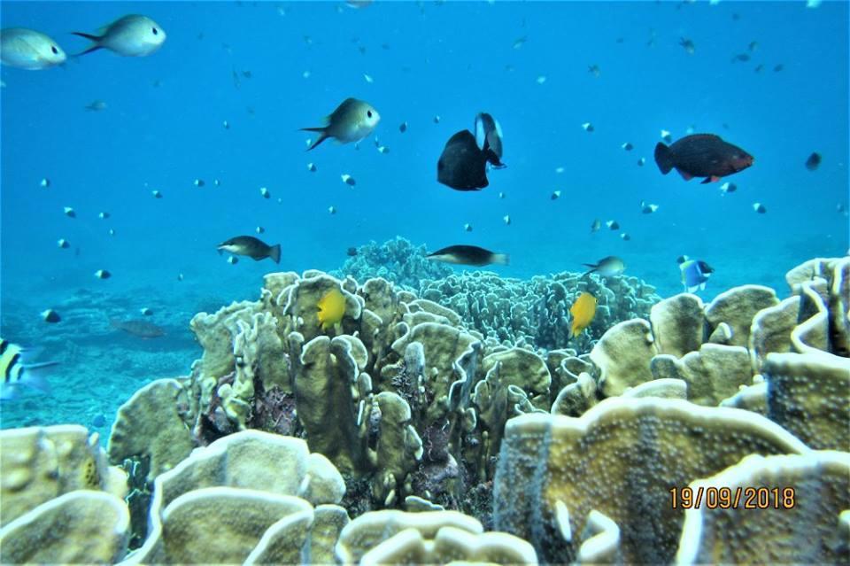 Pulau Weh Paradise Sabang  Eksteriør billede